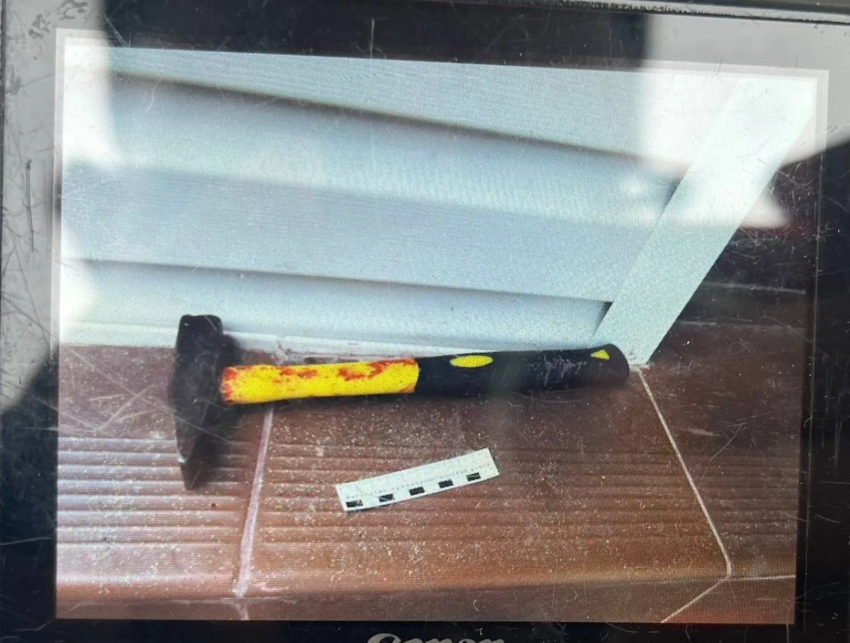 В Ростовской области задержали подозреваемого в двойном убийстве. Фото © Telegram / Ростовский Следком