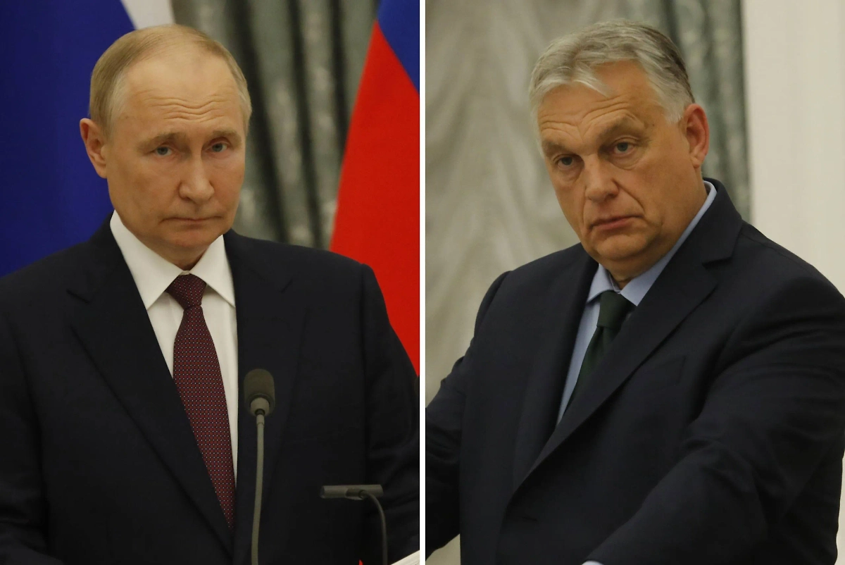 Обложка © Life.ru