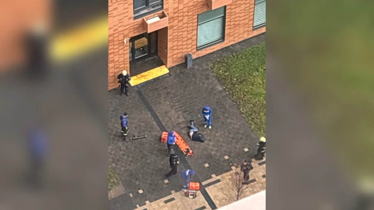 Обложка © Telegram / Агентство «Москва»