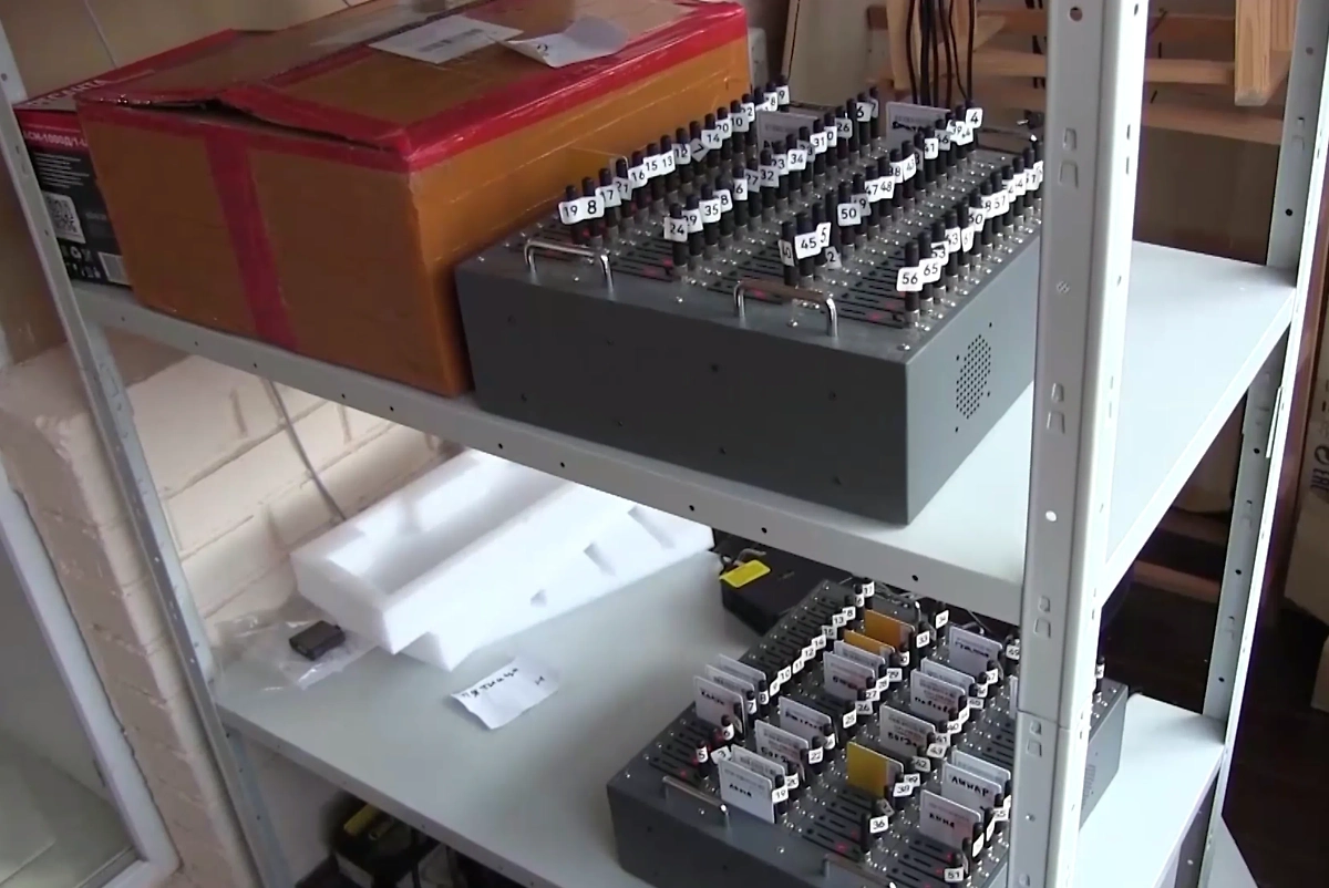 Обложка © Telegram / Ирина Волк