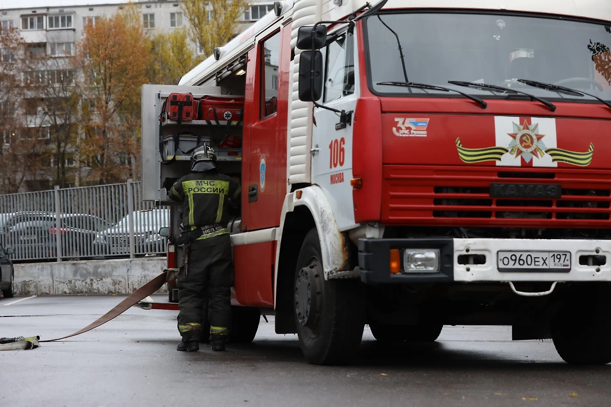 Обложка © Life.ru