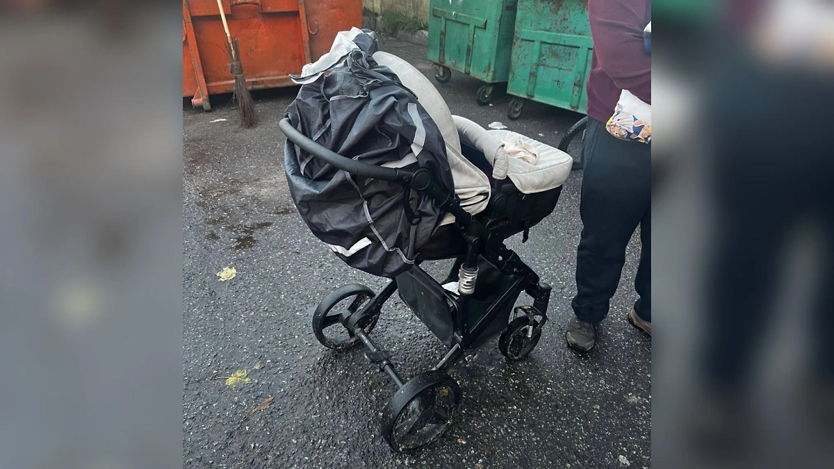 Обложка © Telegram / Прокуратура г. Санкт-Петербурга