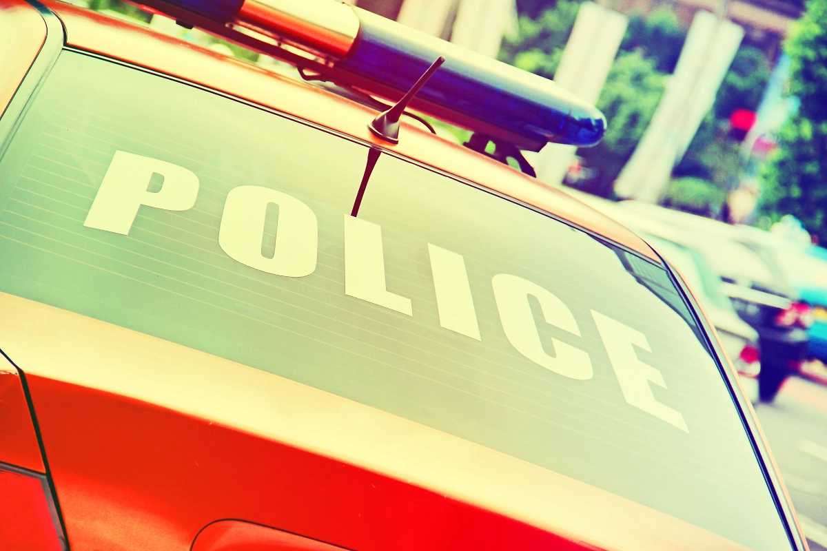 Обложка © Shutterstock / FOTODOM / Anna Klepatckaya