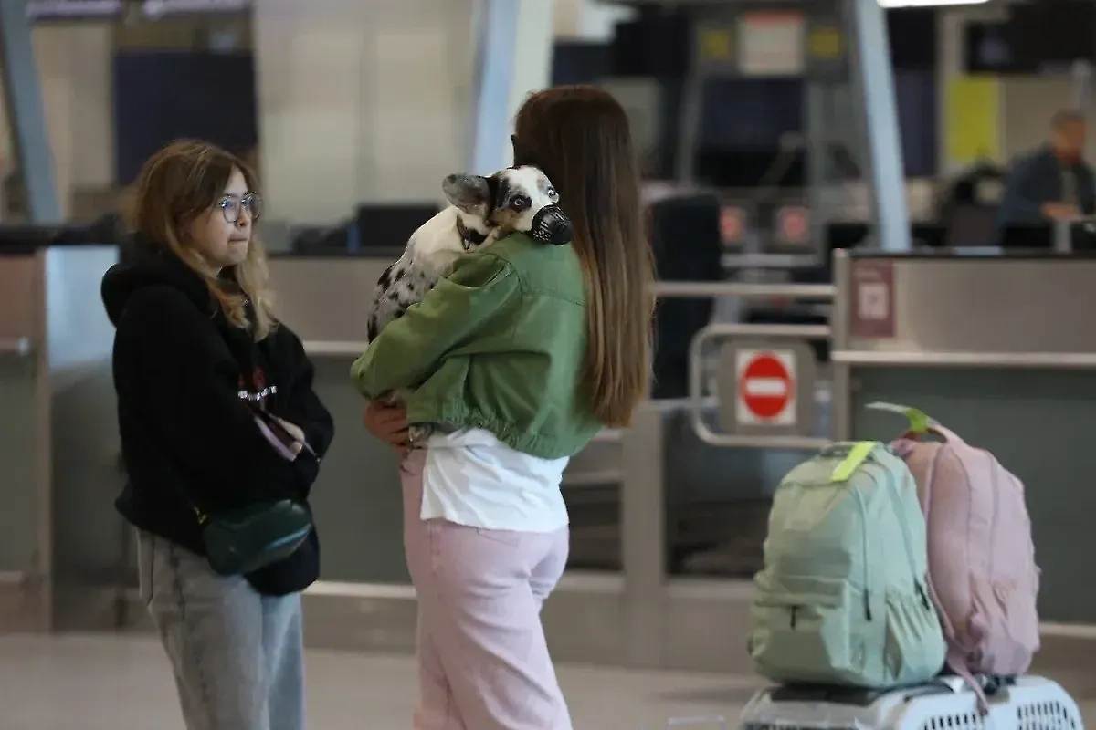 Обложка © Life.ru