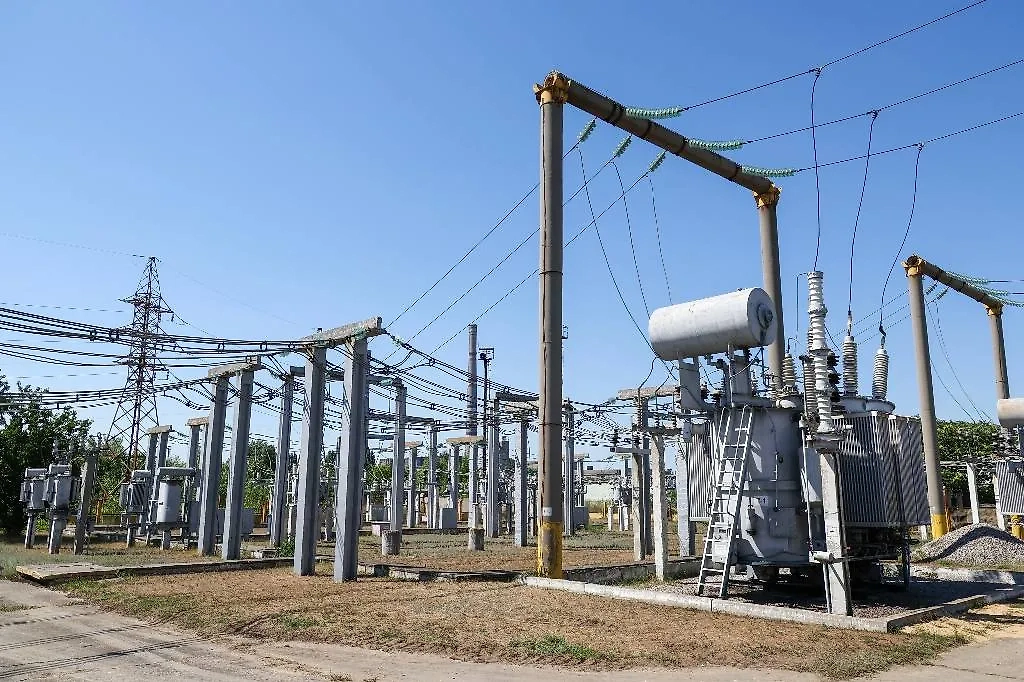 Обложка © ТАСС / Александр Полегенько