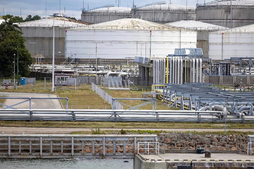 Обложка © Shutterstock / FOTODOM / Karolis Kavolelis