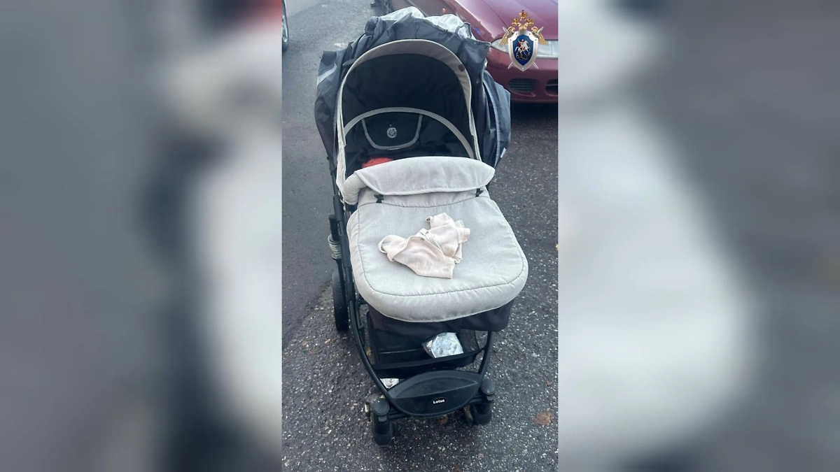 Обложка © Telegram / Питерский Следком