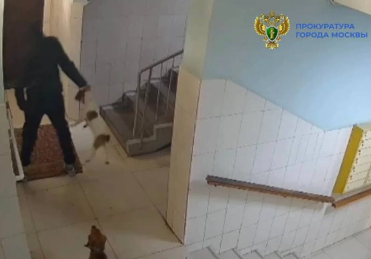 Обложка © Telegram / Прокуратура Москвы