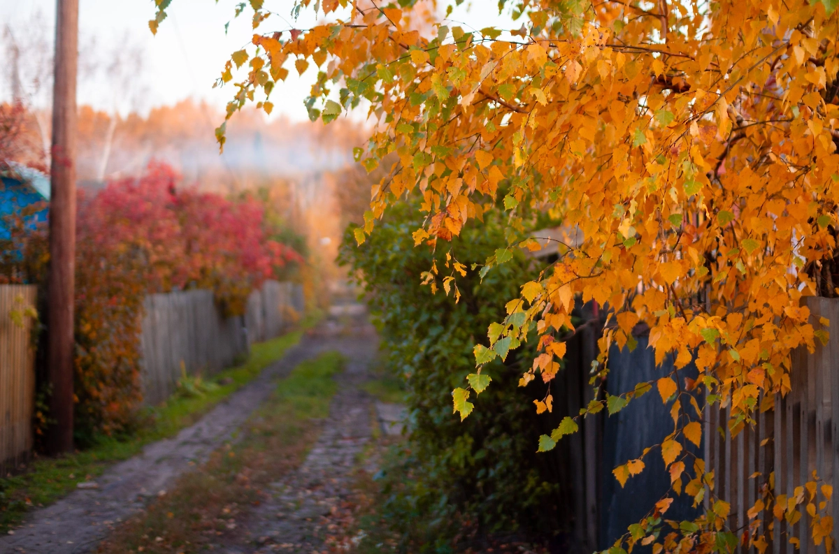 Обложка © Shutterstock / FOTODOM / Roofsoldier
