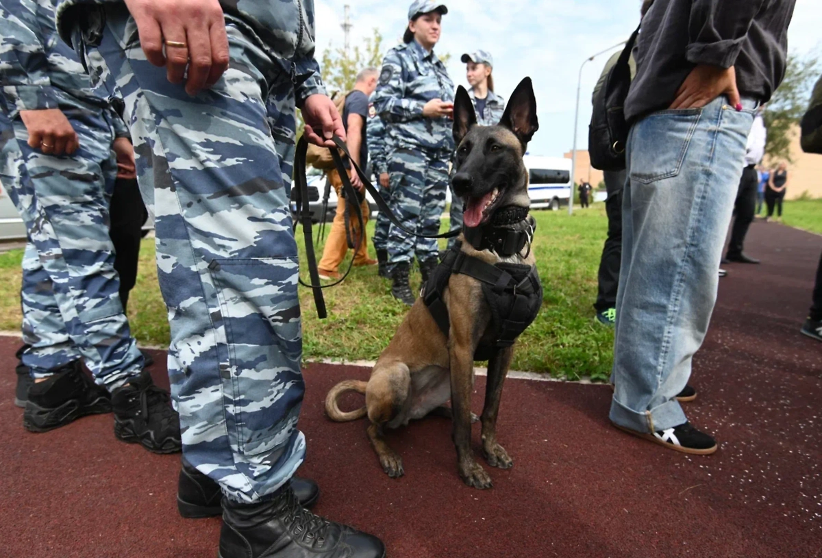 Обложка © Life.ru