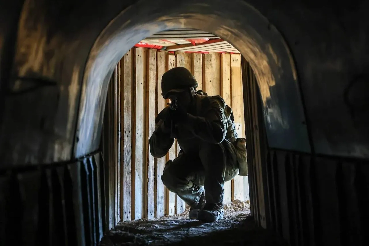 Обложка © ТАСС / Алексей Коновалов