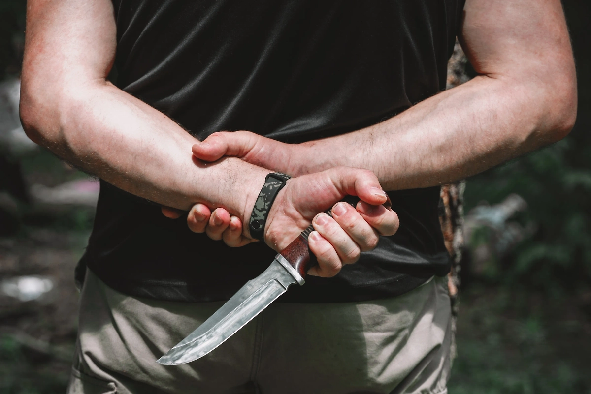 Обложка © Shutterstock / FOTODOM / Afanasiev Andrii