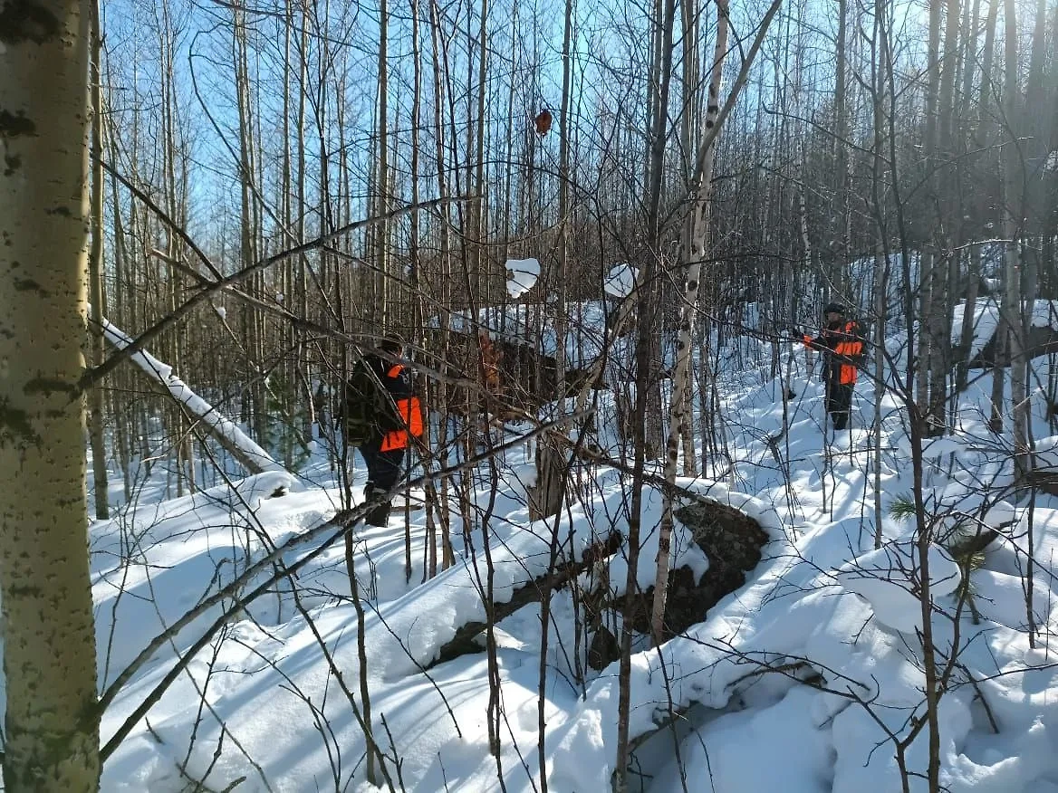 Обложка © Telegram / КГКУ «Спасатель»