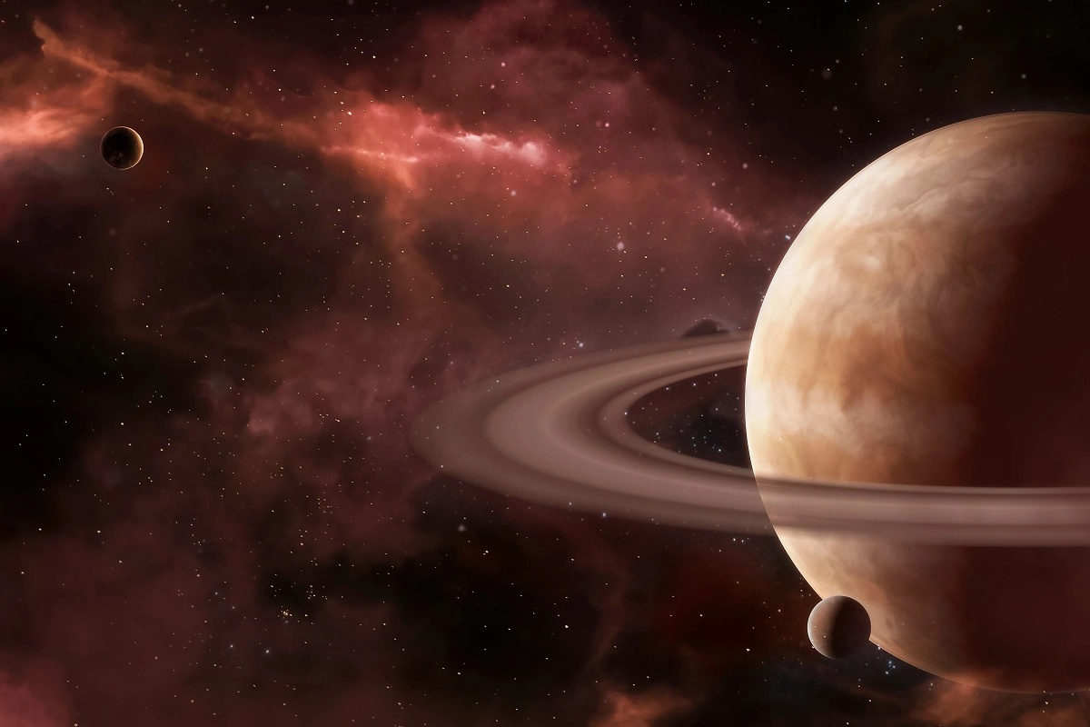 Обложка © Freepik / freepik