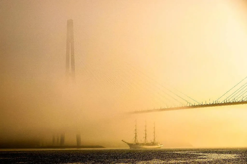 Владивосток. Фото © ТАСС / Юрий Смитюк