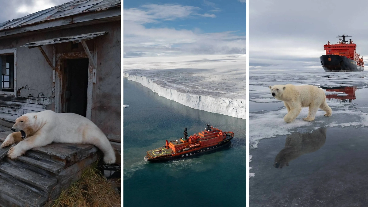 Фото © Telegram / Vadim Makhorov