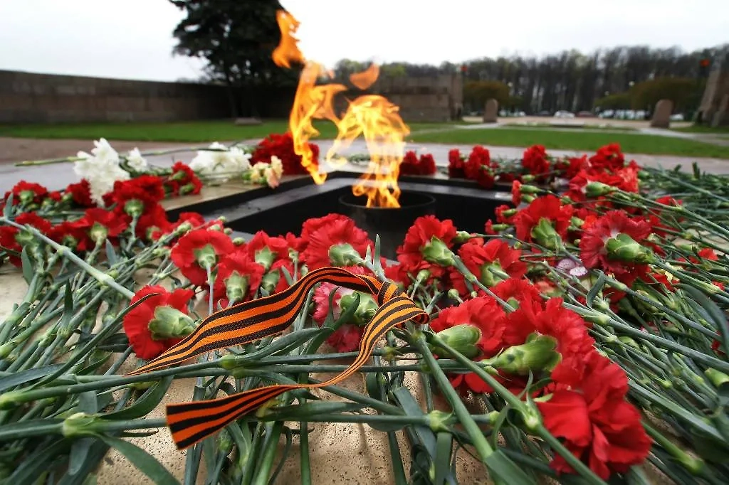 Обложка © ТАСС / Алексей Смышляев