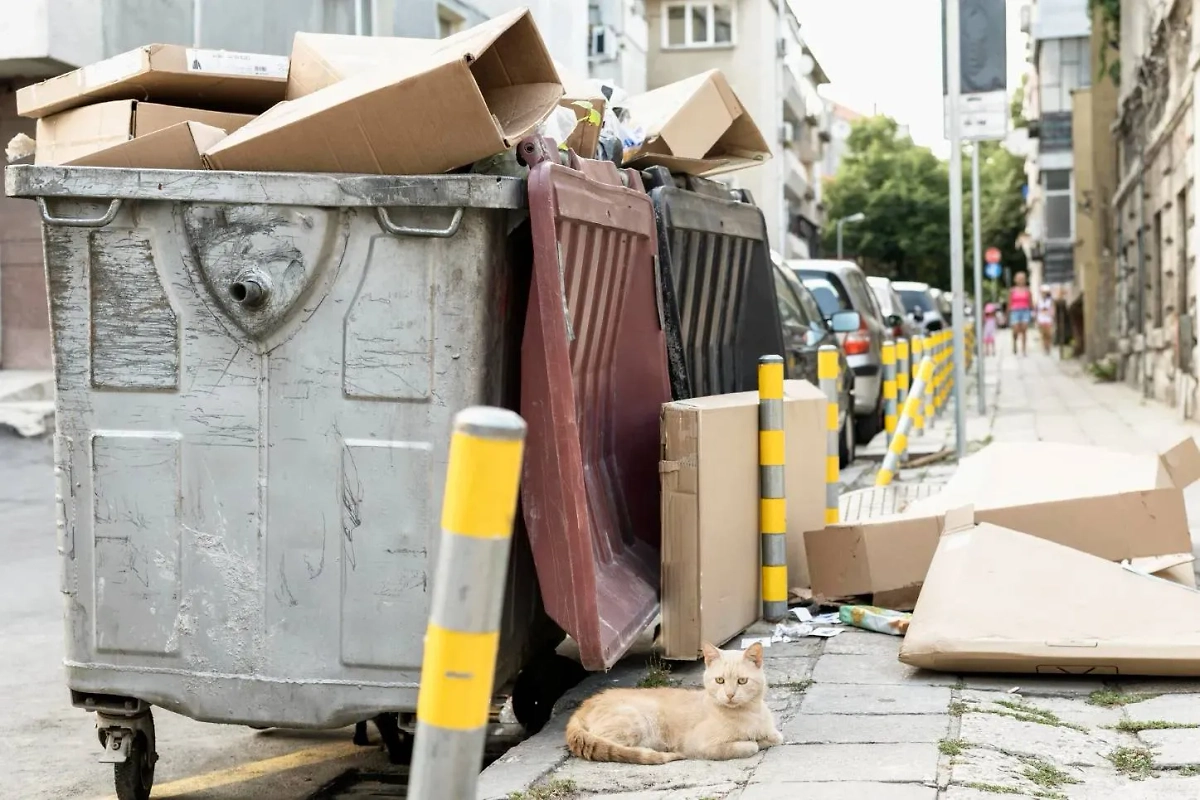 Обложка © freepik