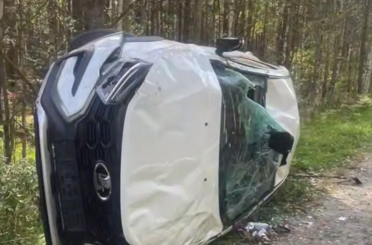 Фото © Телеграм / Александр Шумский