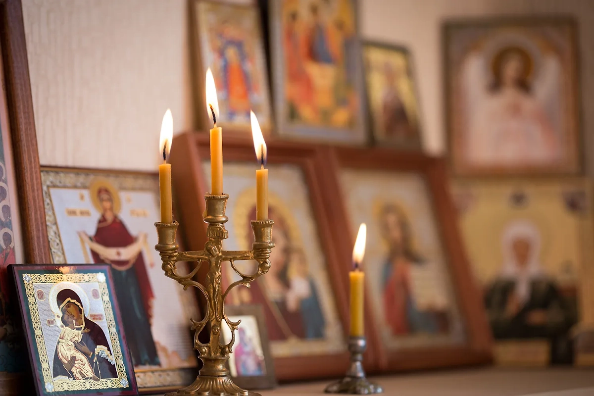 Обложка © Shutterstock / FOTODOM / Tiplyashina Evgeniya