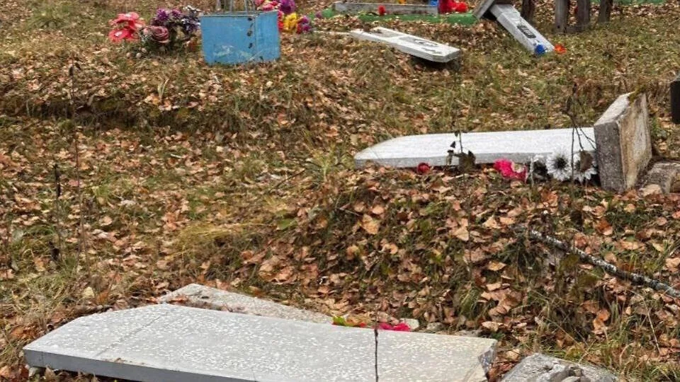 Обложка © Telegram / Прокуратура Новосибирской области