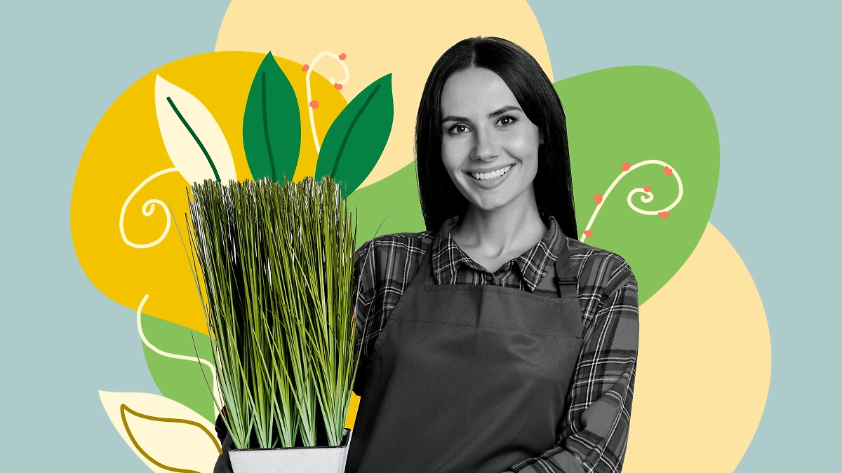 Комнатные растения, которые не переносят близость к батареям. Обложка © Shutterstock / FOTODOM / Roman Samborskyi