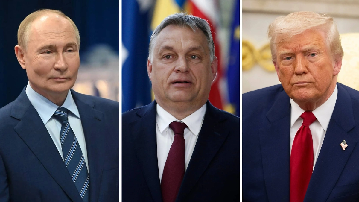 Обложка © Life.ru, © Shutterstock / FOTODOM / Alexandros Michailidis, noamgalai