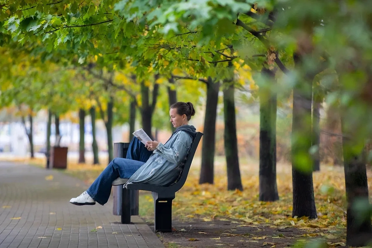 Обложка © Life.ru