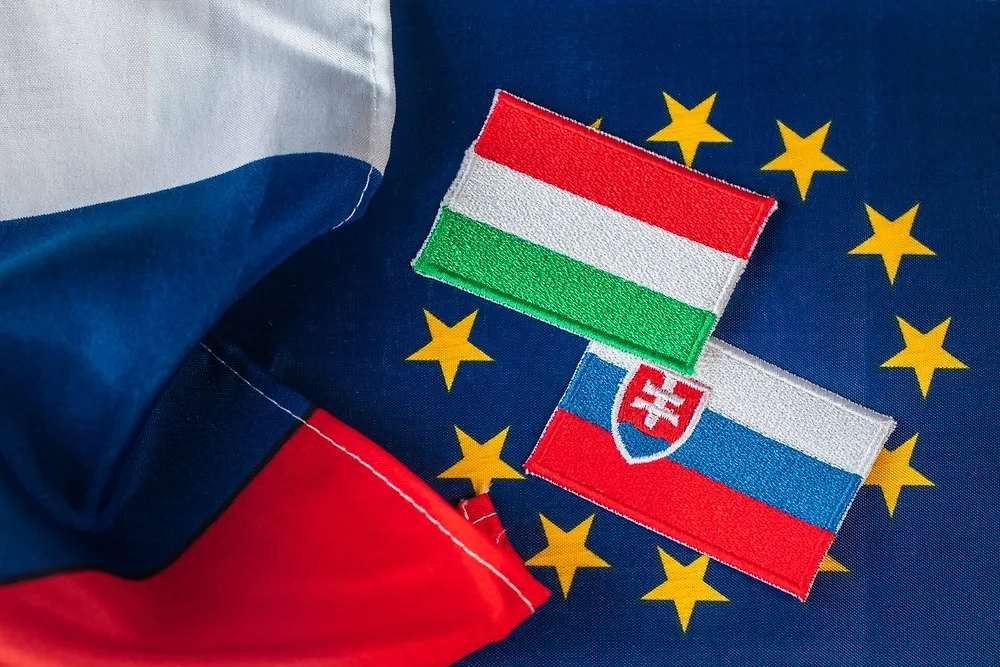 Обложка © Shutterstock / FOTODOM / Andrzej Rostek