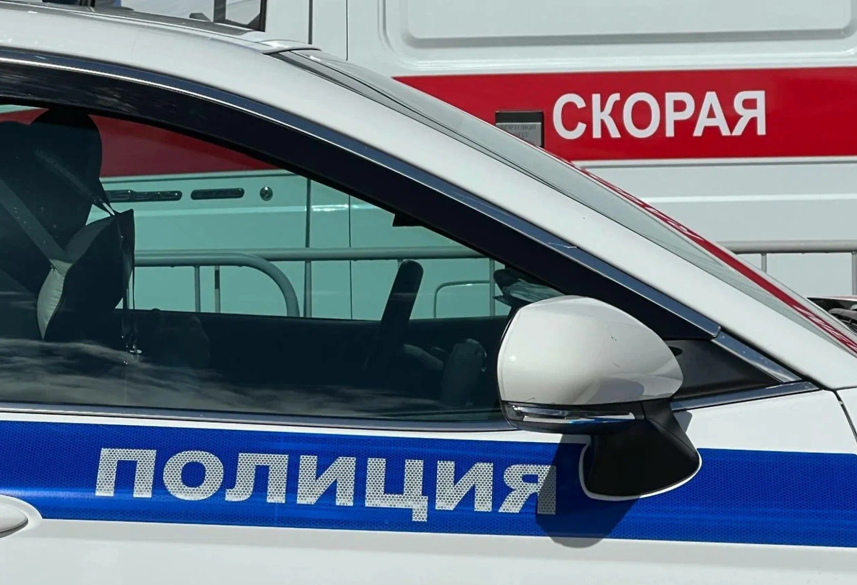 Обложка © Life.ru