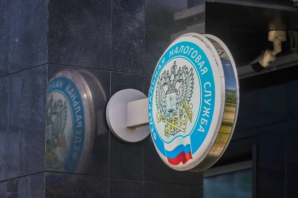 Обложка © ТАСС / NEWS.ru / Наталья Шатохина