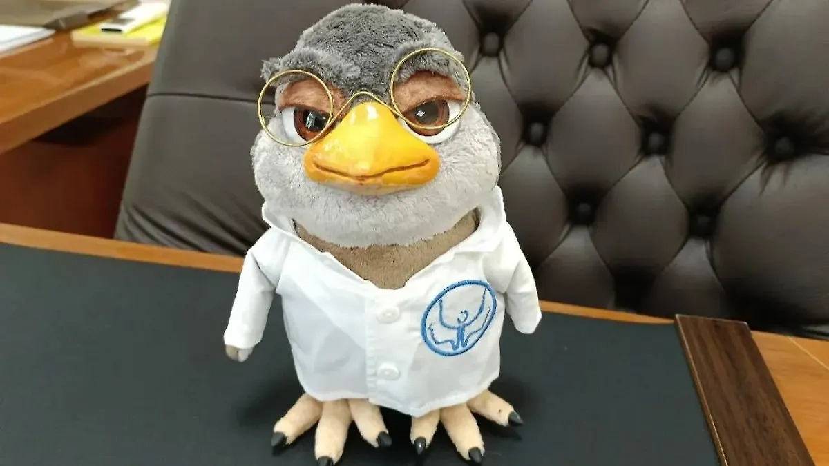 Обложка © Telegram / 74.ru