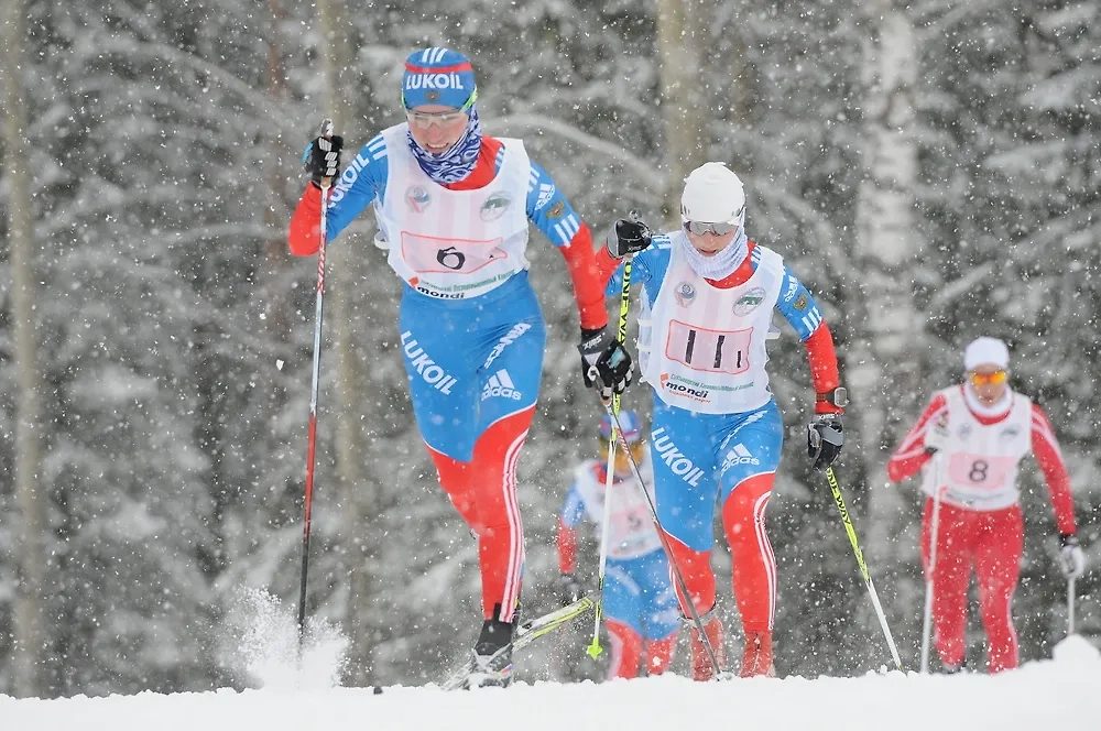 Обложка © Shutterstock / FOTODOM / Sorbis