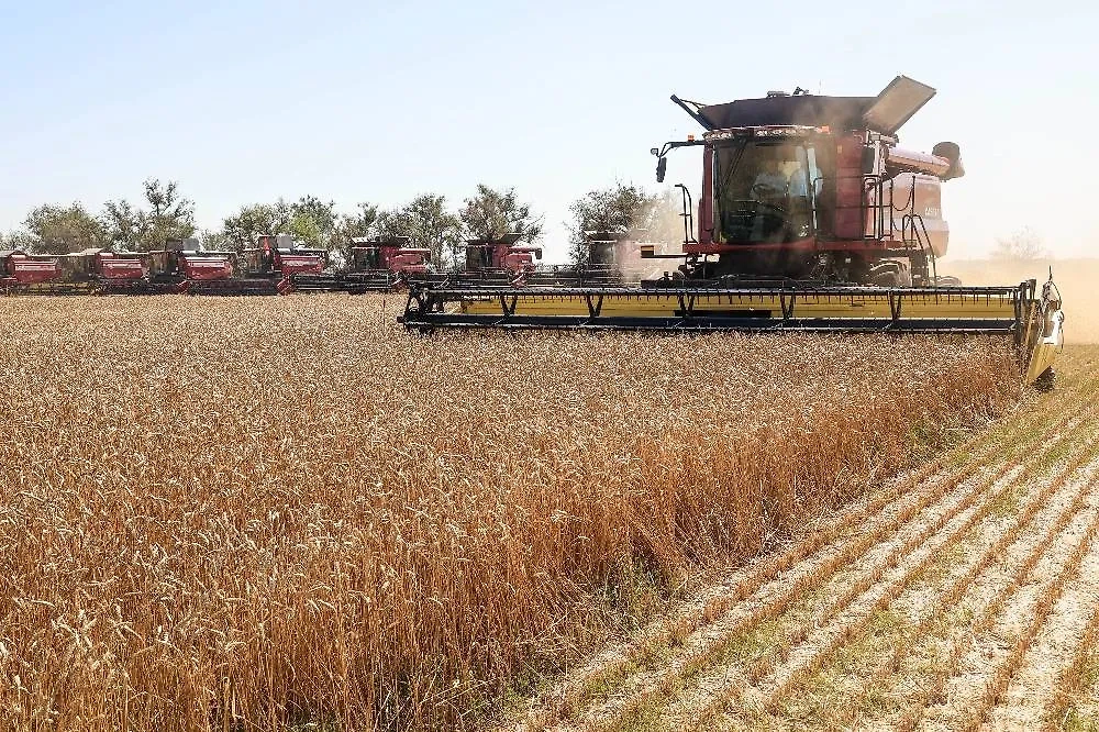 Обложка © ТАСС /Дмитрий Рогулин