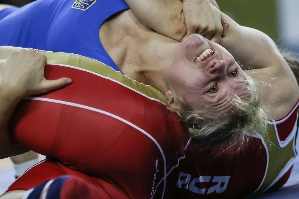 Обложка © ТАСС / Сергей Савостьянов