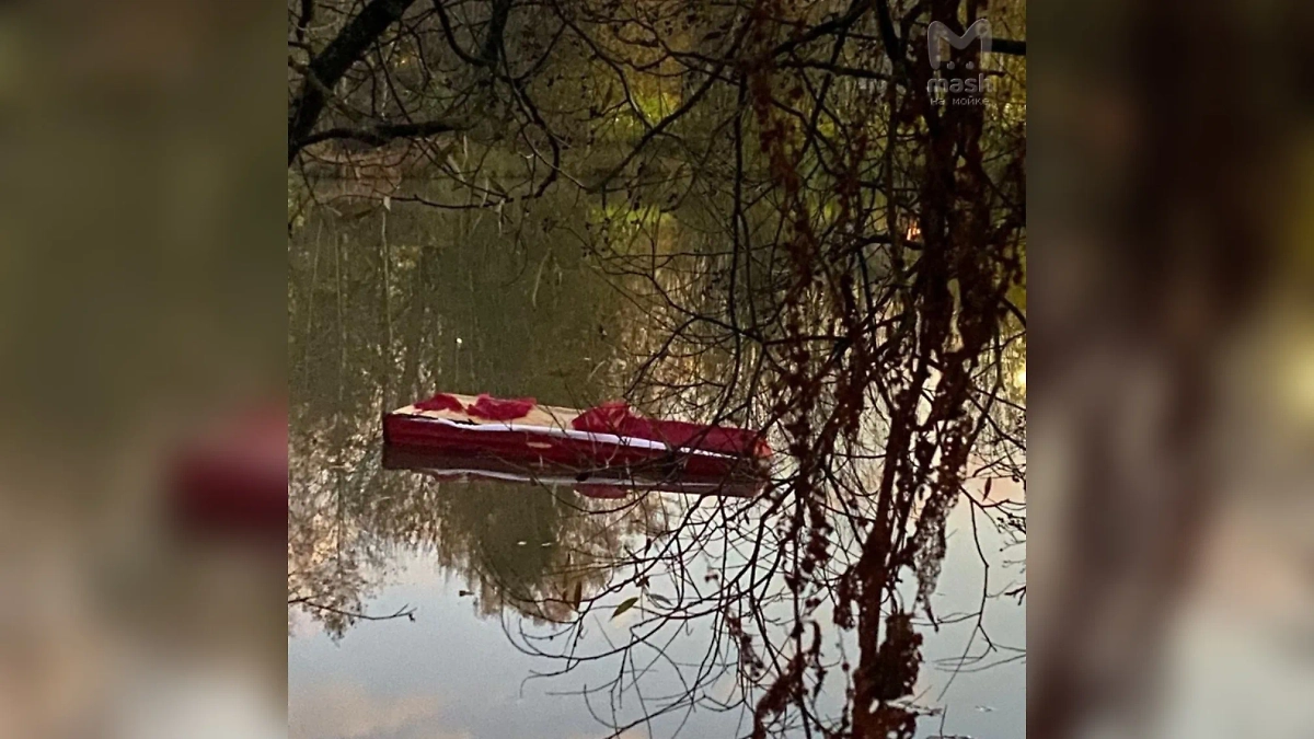 Обложка © Telegram / Mash на Мойке