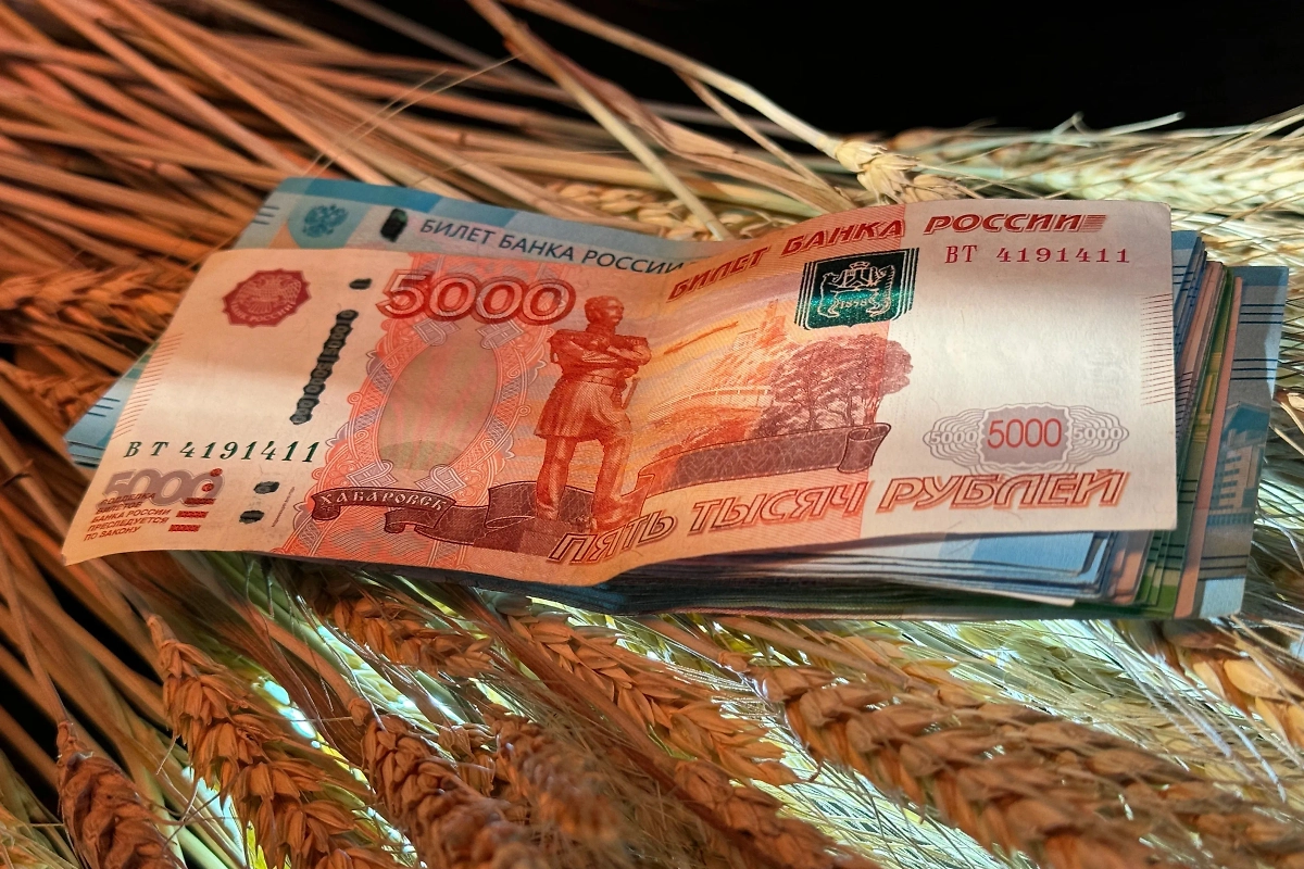 Обложка © Life.ru