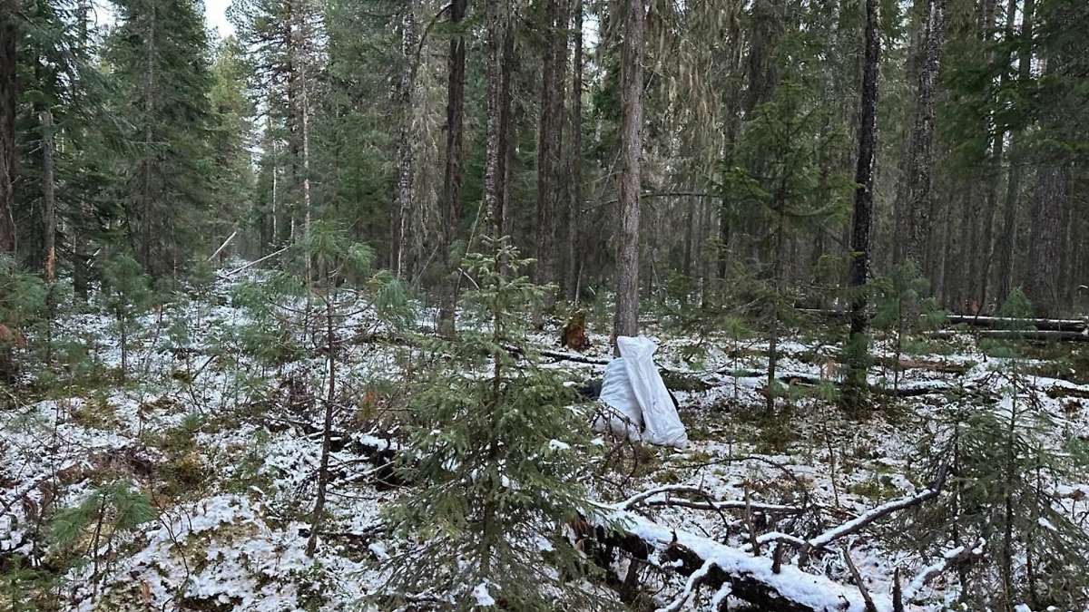 Обложка © Telegram / Следком Югры