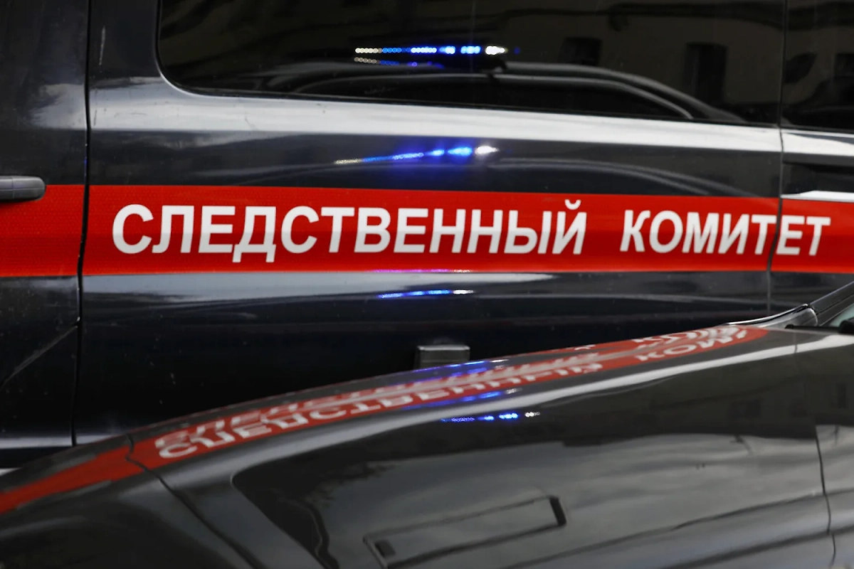 Обложка © Life.ru