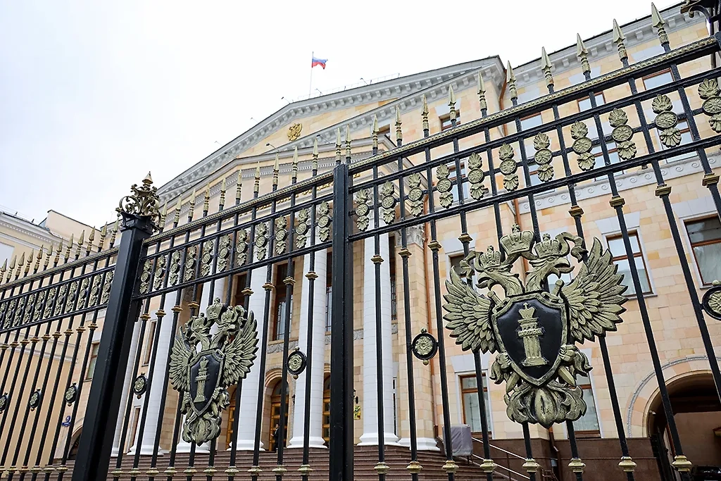 Обложка © ТАСС / Олег Елков