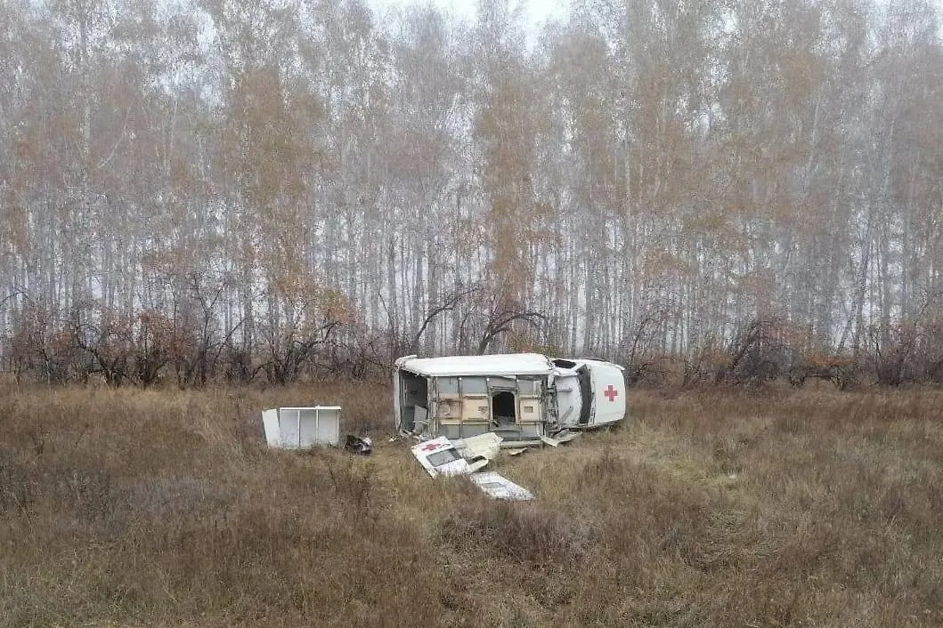 Обложка © Telegram / Прокуратура Новосибирской области