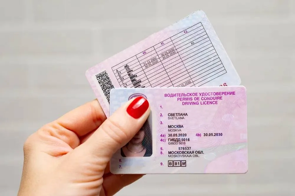 Обложка © Shutterstock / FOTODOM / igorykor