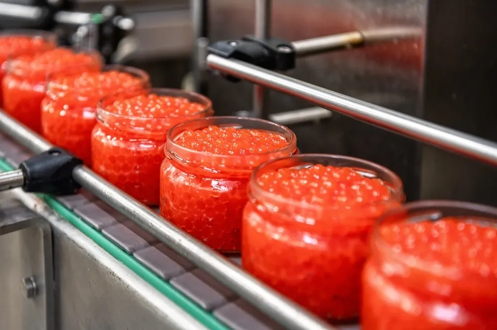 Обложка © Shutterstock / FOTODOM / Nordroden