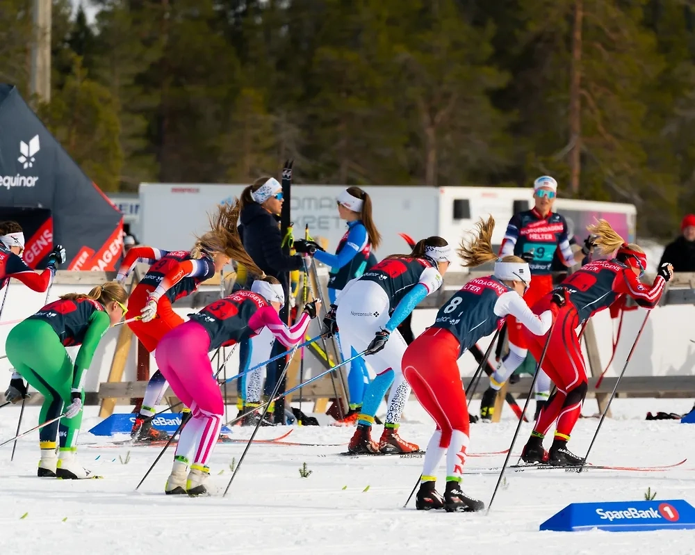 Обложка © Shutterstock / FOTODOM / Henrik A. Jonsson