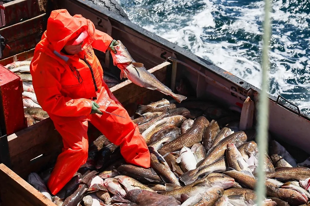 Обложка © ТАСС / Юрий Смитюк