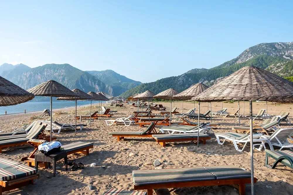 Обложка © Shutterstock / FOTODOM / M.Nergiz