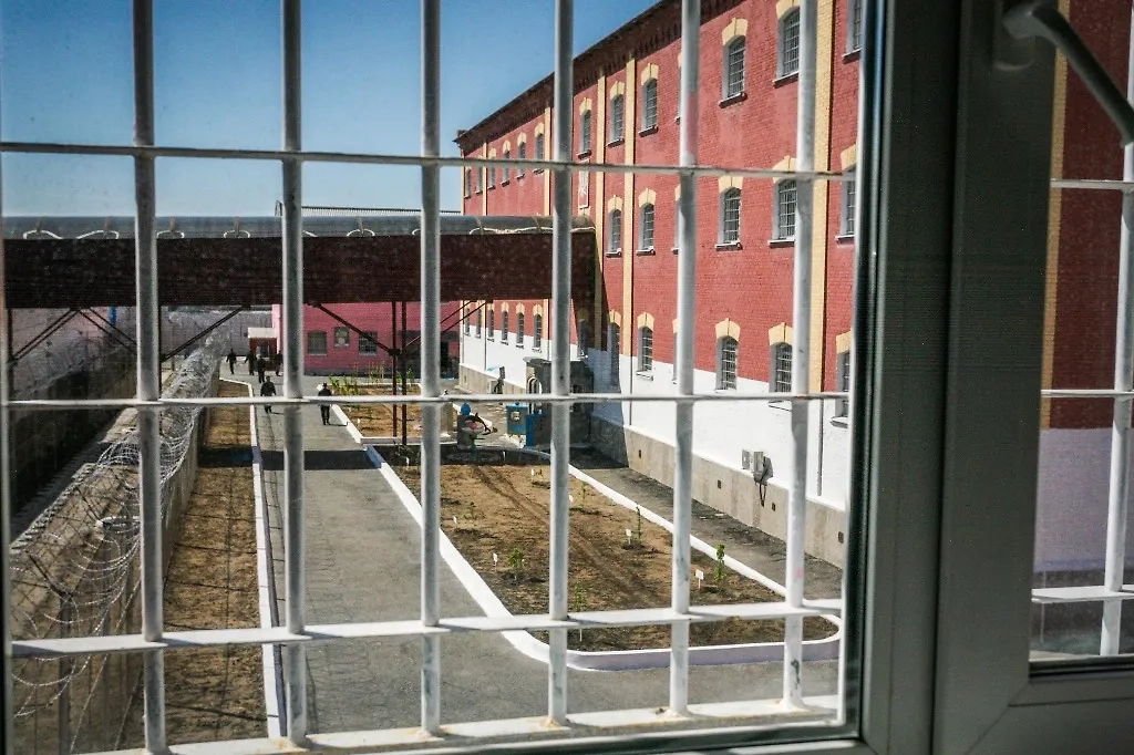 «Выпускник» колонии «Чёрный дельфин» — то, чего не существует в природе. Из «Чёрного дельфина» никогда не выходят. Фото © ТАСС / Марина Круглякова