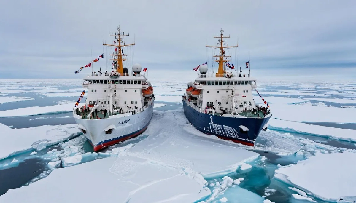 Обложка © Life.ru / Kandinsky 4.1