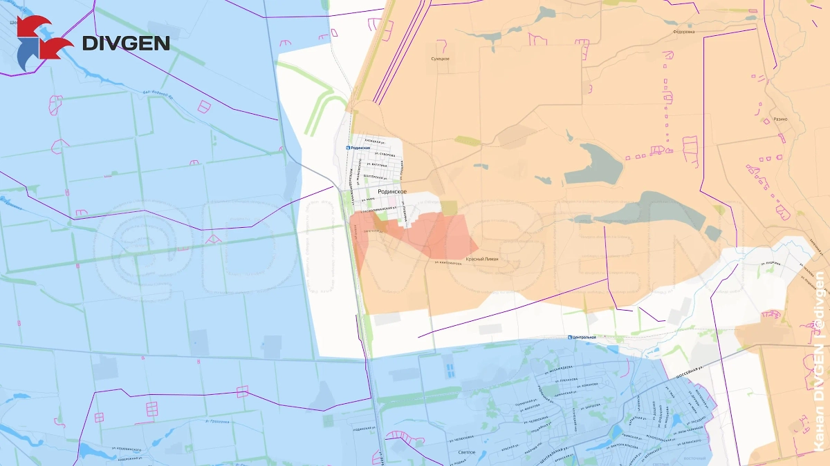 Карта СВО на 24 октября 2025 года. Российские штурмовые подразделения продвигаются в южных кварталах Родинского. Фото © Telegram / divgen