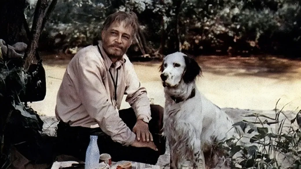 Советские фильмы с самыми трагичными концовками: топ-10 картин. Фото ©  Кадр из фильма «Белый Бим Чёрное ухо», режиссёр Станислав Ростоцкий, сценаристы  Станислав Ростоцкий, Гавриил Троепольский / Kinopoisk 